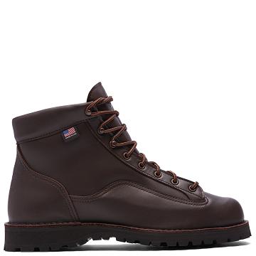 Danner Explorer All-Leder Wanderstiefel Damen Kaffee | DE4452IS