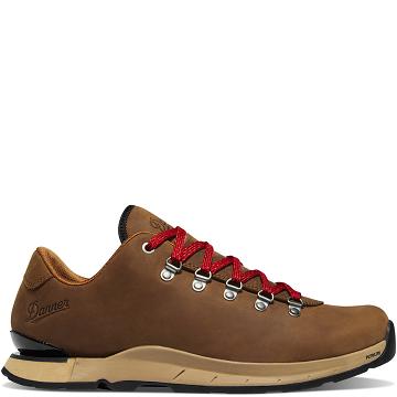 Danner Mountain Overlook Wanderschuhe Herren Braun | DE4784DN